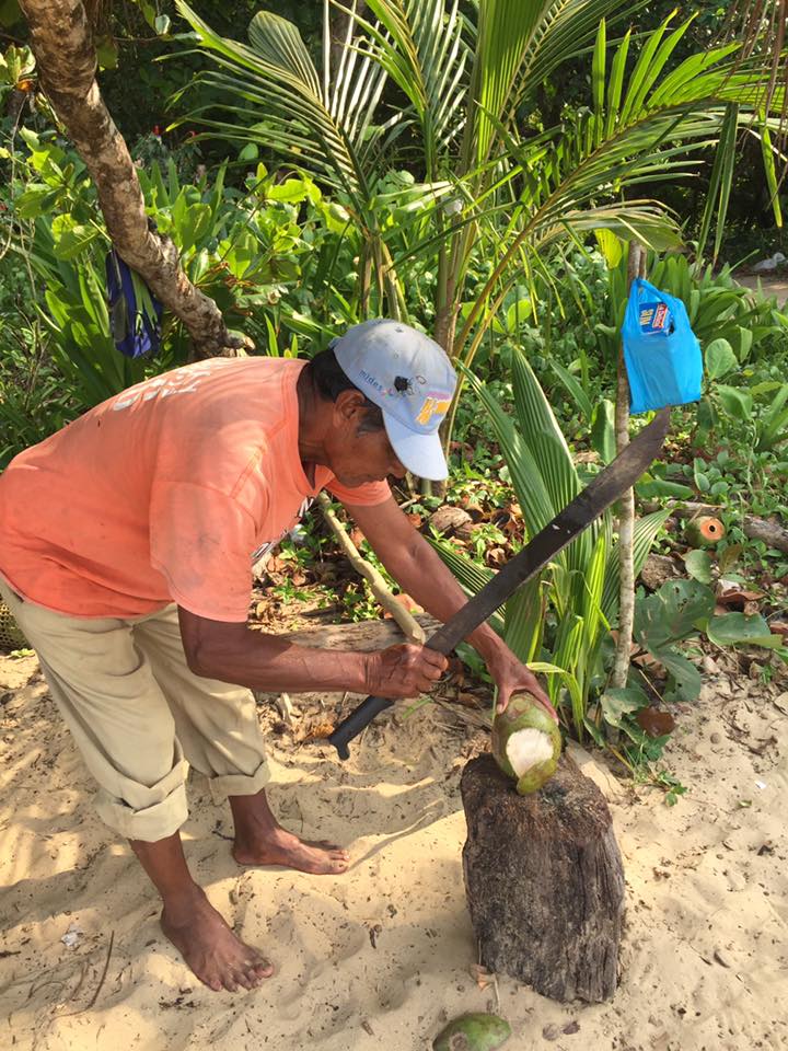 coconuts-panama